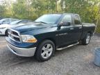 2011 DODGE RAM 1500    à vendre chez Copart ON - COOKSTOWN