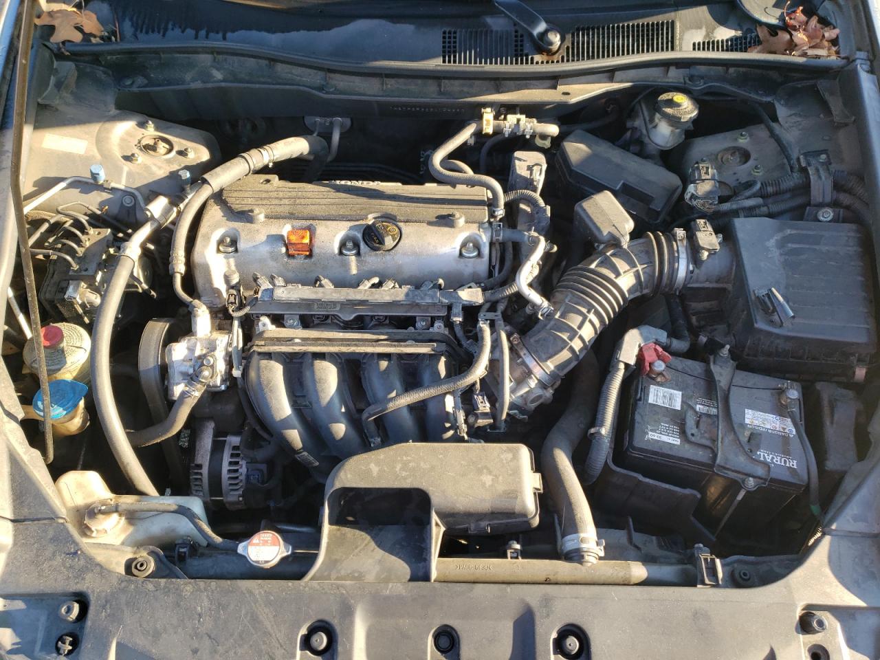 2011 Honda Accord Lx VIN: 1HGCP2F32BA055683 Lot: 70770145