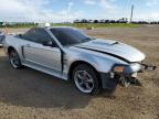 2001 FORD MUSTANG GT   for sale at Copart AB - CALGARY