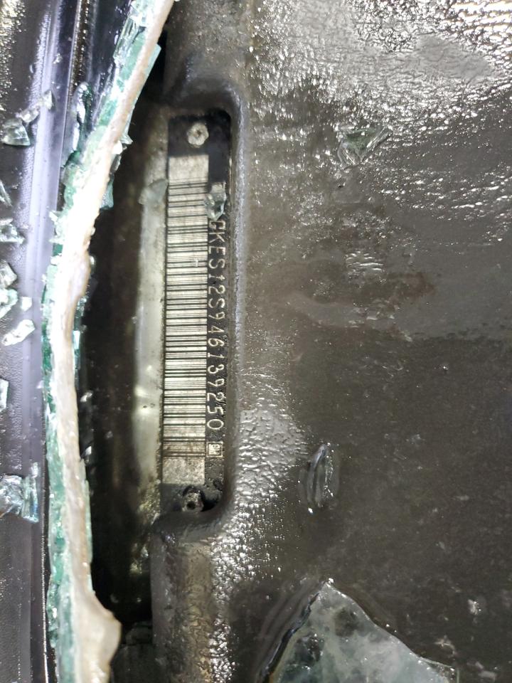 2004 GMC Envoy Xuv VIN: 1GKES12S946139250 Lot: 67348865