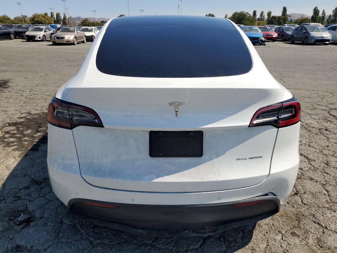 2022 Tesla Model Y VIN: 7SAYGAEE7NF429785 Lot: 71043245
