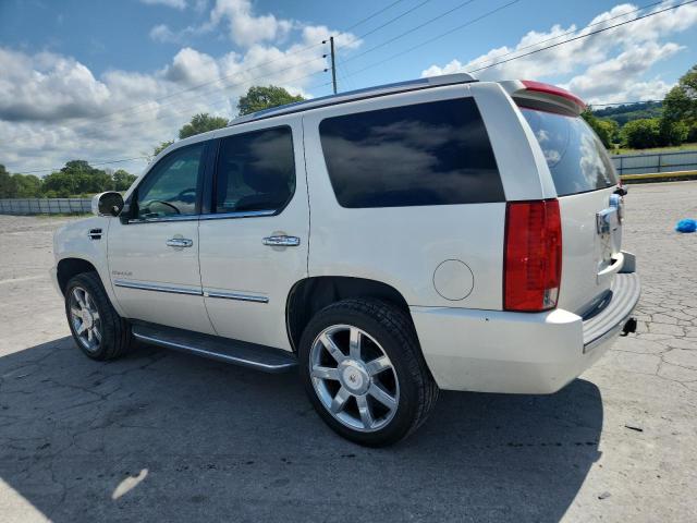 Parquets CADILLAC ESCALADE 2013 Kremowy