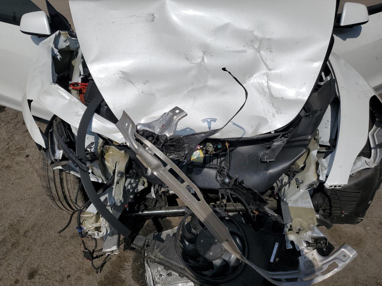 2023 Tesla Model Y VIN: 7SAYGDEF1PF915490 Lot: 70274525