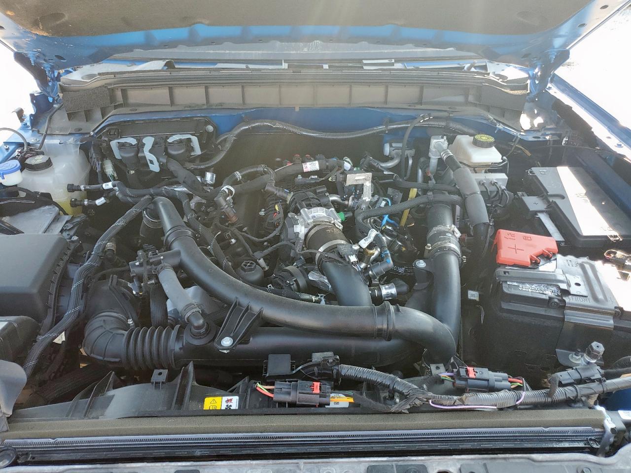 2023 Ford Bronco Base VIN: 1FMDE5CPXPLB59184 Lot: 67118935