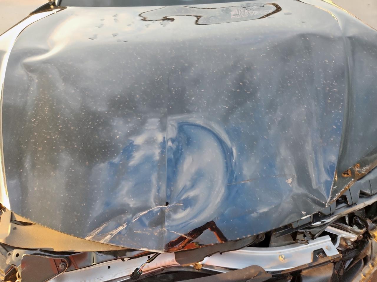 2024 Acura Tlx A-Spec VIN: 19UUB6F56RA001423 Lot: 69567155