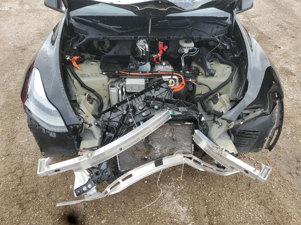 2023 Tesla Model Y VIN: 7SAYGAEE4PF857946 Lot: 69020665