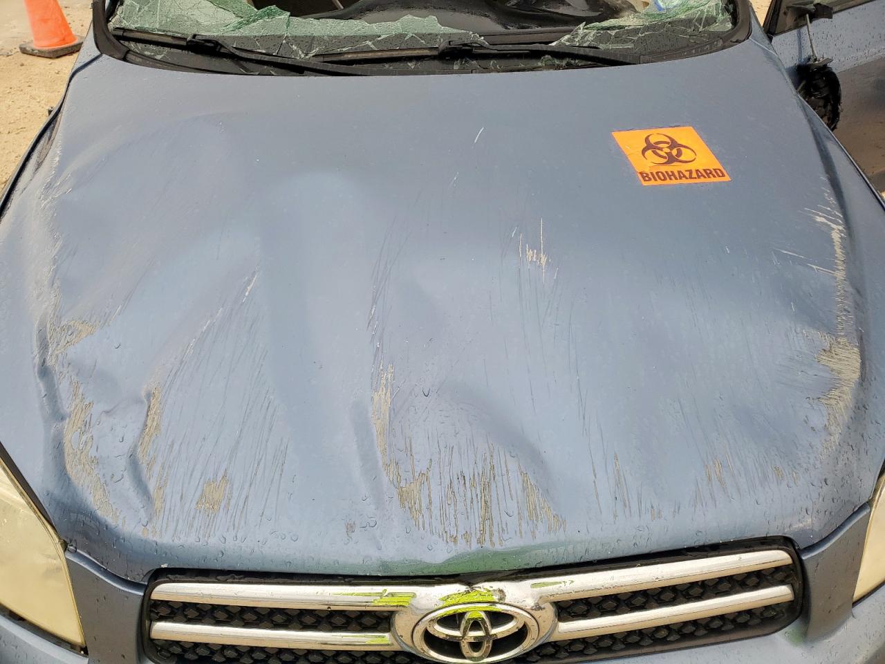 2007 Toyota Rav4 Limited VIN: JTMZD31V176029845 Lot: 70035315