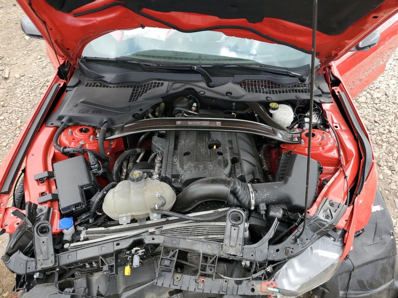 2020 Ford Mustang VIN: 1FA6P8TD9L5172589 Lot: 69567715