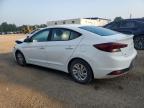 2019 HYUNDAI ELANTRA SE   à vendre chez Copart ON - COOKSTOWN