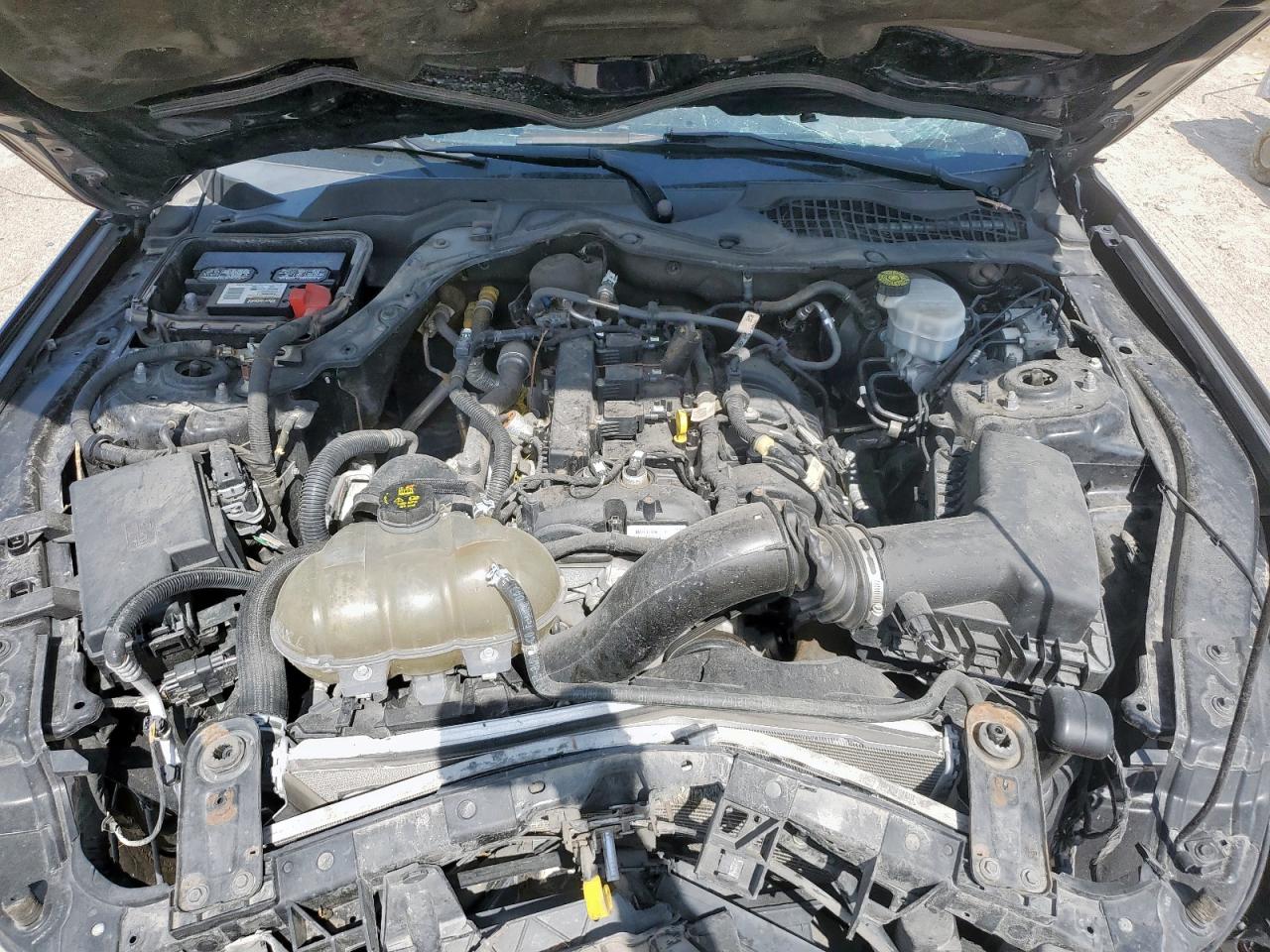 2021 Ford Mustang VIN: 1FA6P8TH8M5110069 Lot: 68392945