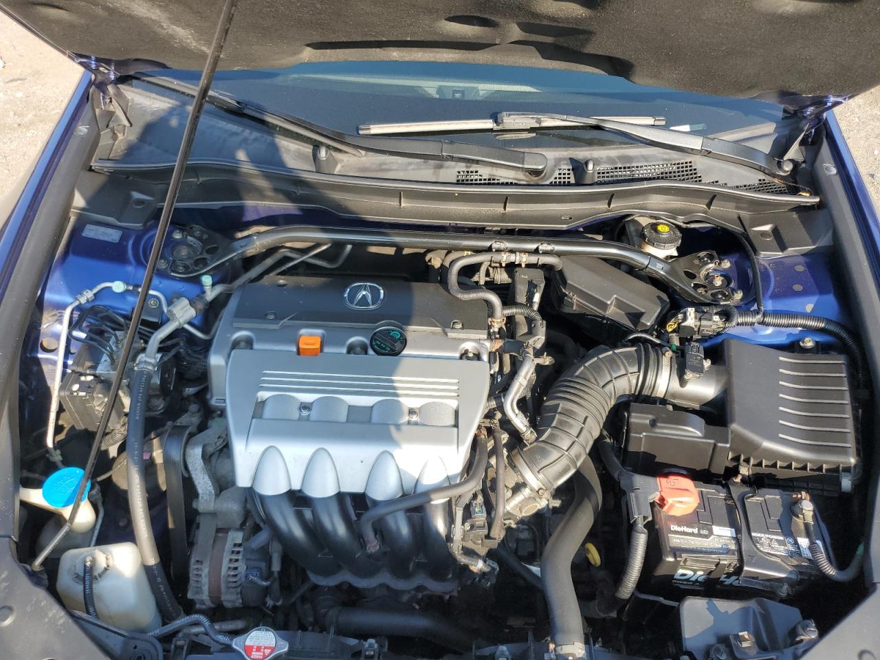 2009 Acura Tsx VIN: JH4CU26649C020920 Lot: 66851655