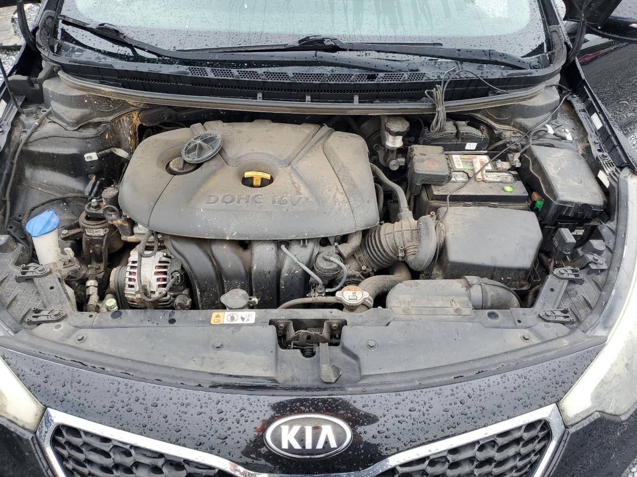 2016 Kia Forte Lx VIN: KNAFX4A60G5589691 Lot: 69925515