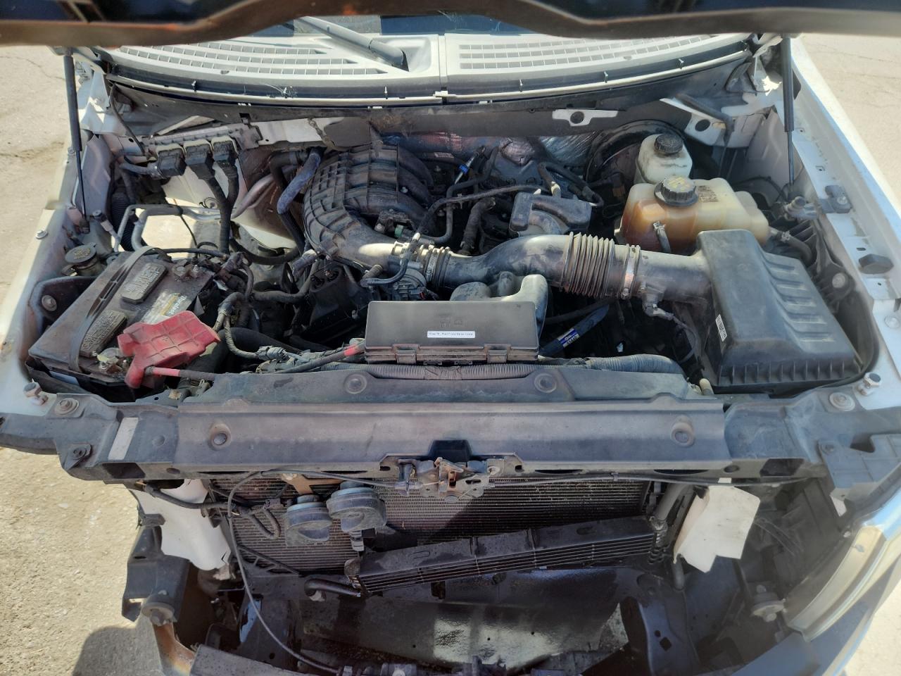 2013 Ford F150 VIN: 1FTMF1CM4DKF26646 Lot: 66309905