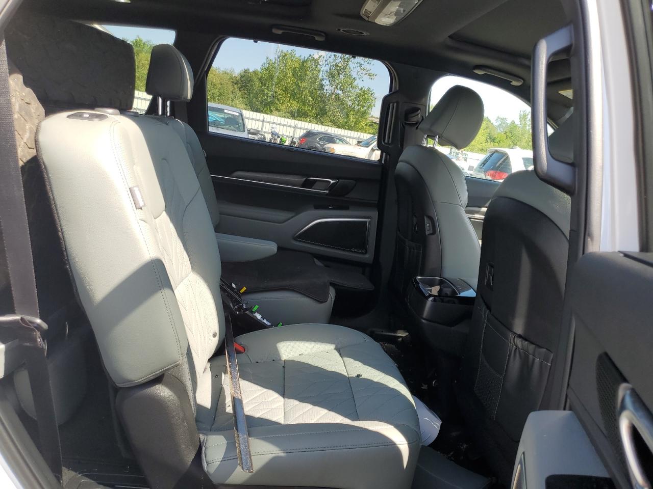 2024 Kia Telluride Sx VIN: 5XYP5DGC1RG448567 Lot: 64713225