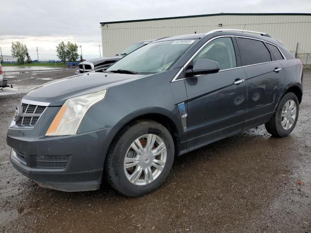 2011 CADILLAC SRX LUXURY COLLECTION   for sale at Copart AB - CALGARY