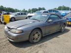 1996 FORD MUSTANG GT   à vendre chez Copart CT - HARTFORD SPRINGFIELD