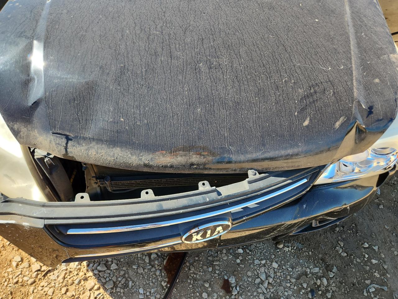 2007 Kia Sedona Ex VIN: KNDMB233876179893 Lot: 70753505