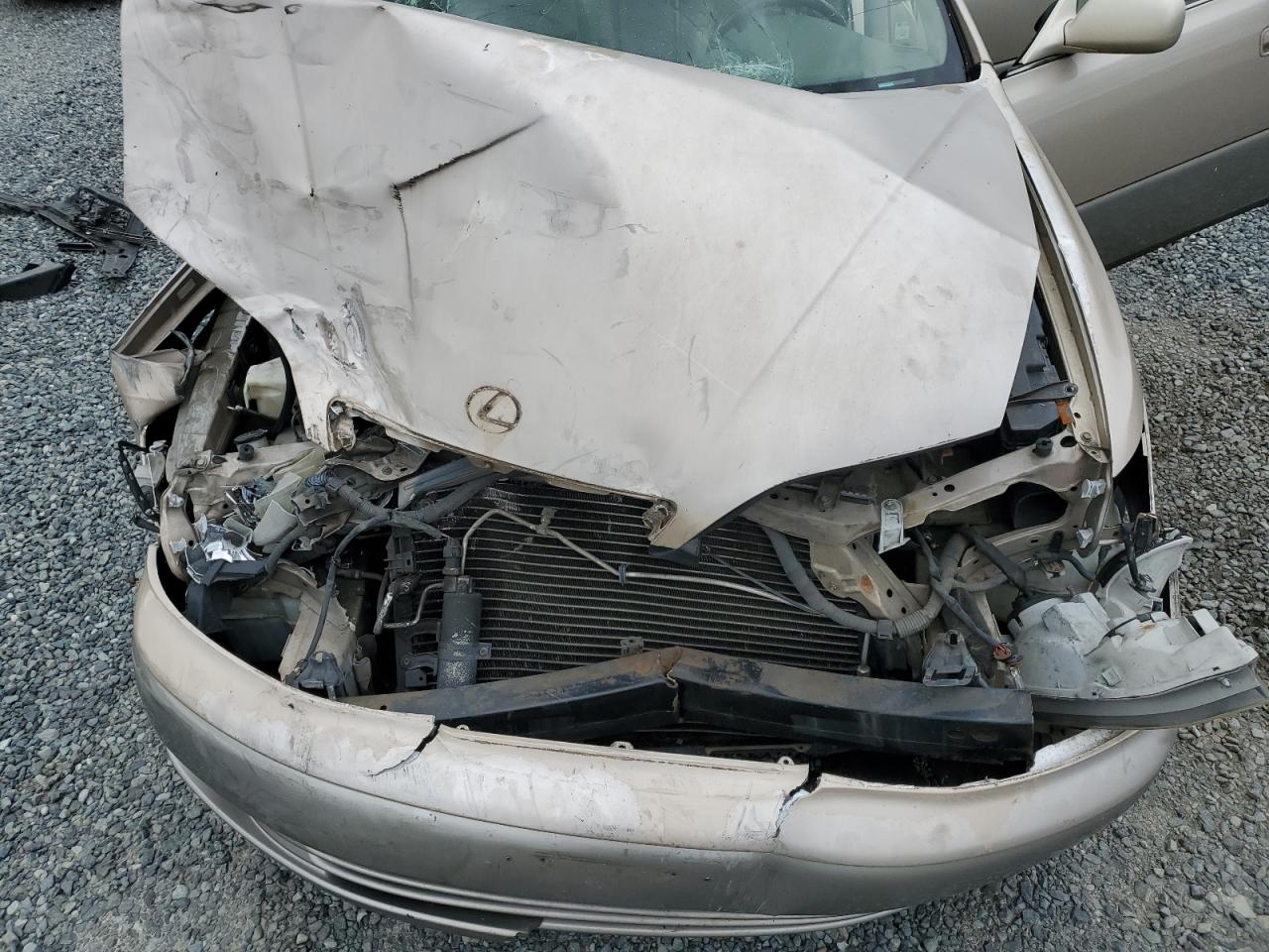 1998 Lexus Es 300 VIN: JT8BF28G3W5039325 Lot: 69311575