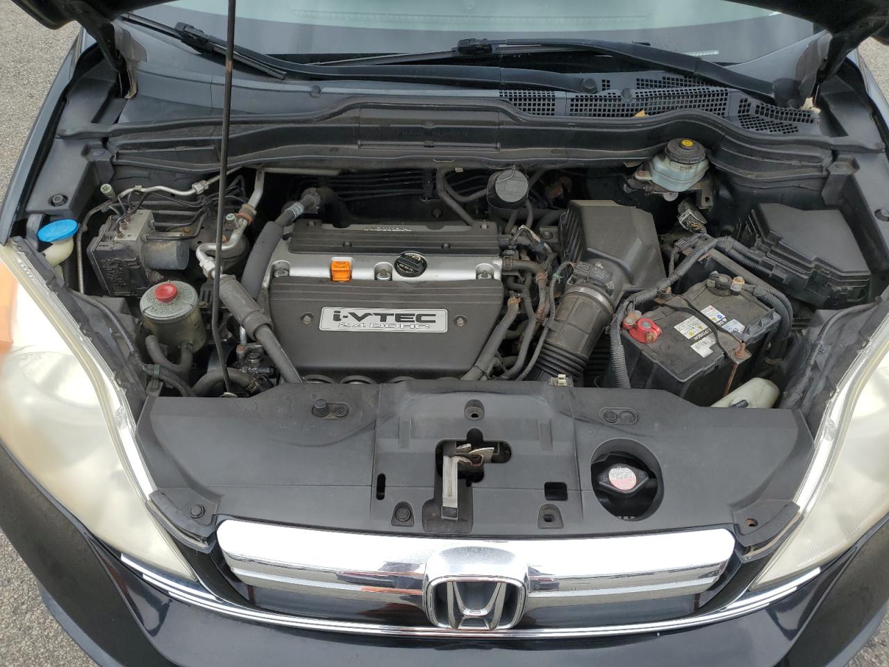 2007 Honda Cr-V Ex VIN: JHLRE48507C072523 Lot: 69052715