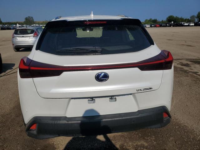 2021 LEXUS UX 250H  
