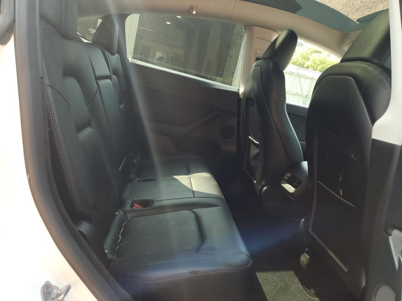 2023 Tesla Model Y VIN: 7SAYGDEE1PF764576 Lot: 67882145