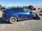 2023 TESLA MODEL Y    for sale at Copart ON - LONDON