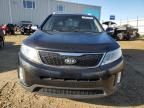 2015 KIA SORENTO EX   à vendre chez Copart AB - EDMONTON
