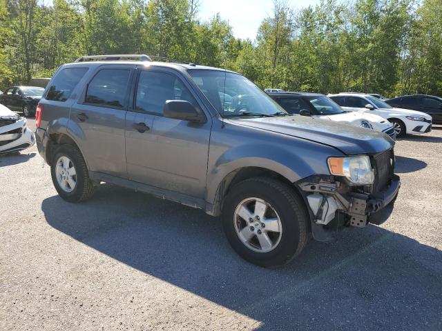 2009 FORD ESCAPE XLT  