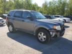 2009 FORD ESCAPE XLT   à vendre chez Copart ON - COOKSTOWN