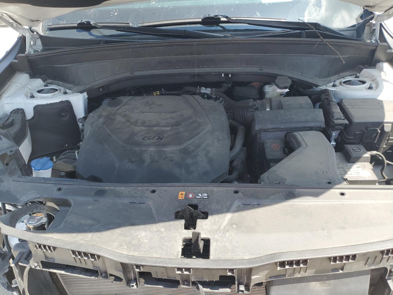 2022 Kia Telluride Sx VIN: 5XYP5DHC3NG325393 Lot: 68709695