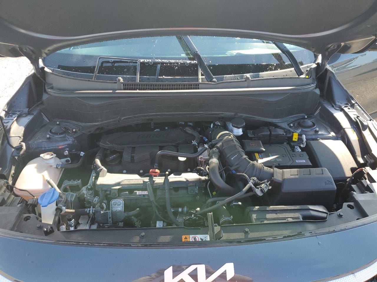 2024 Kia Seltos Sx VIN: KNDETCA71R7587050 Lot: 70486095