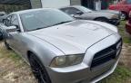 2014 DODGE CHARGER SE   à vendre chez Copart FL - TAMPA SOUTH