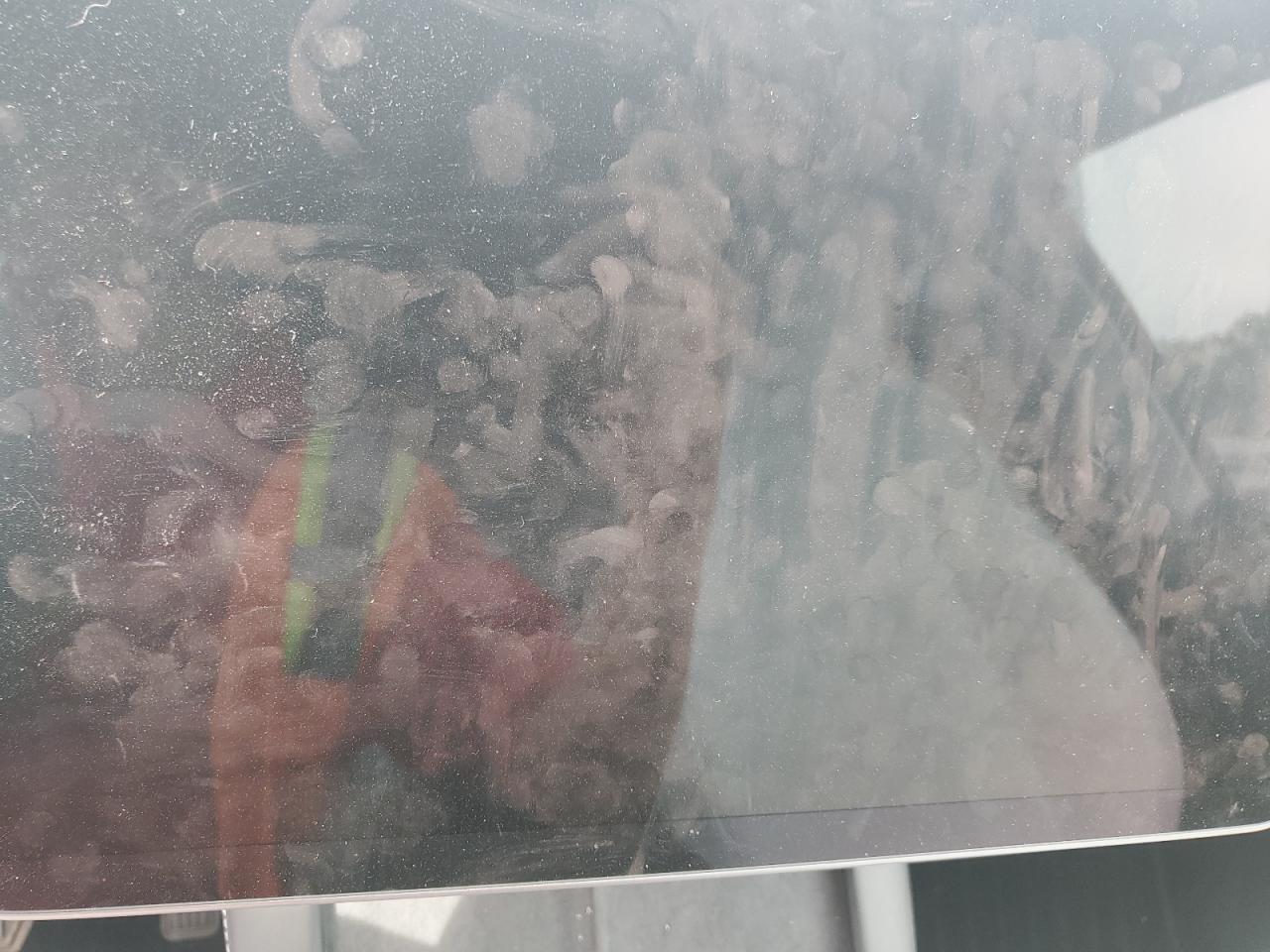 2025 Tesla Model Y VIN: 7SAYGDEE6SF252899 Lot: 70330545