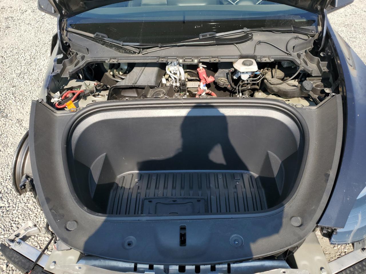 2025 Tesla Model Y VIN: 7SAYGAEE9SF271249 Lot: 67150265