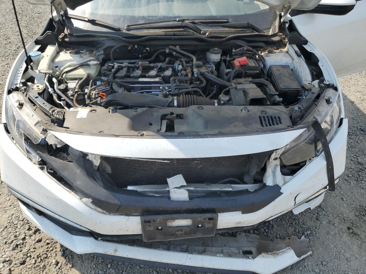 2019 Honda Civic Ex VIN: JHMFC1F38KX008817 Lot: 70177495