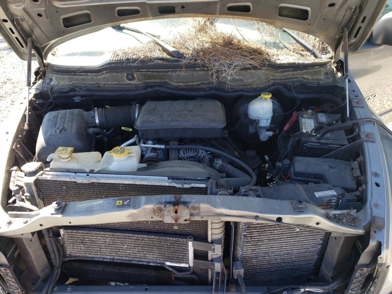 2005 Dodge Ram 1500 St VIN: 1D7HU16N65J554828 Lot: 66376215