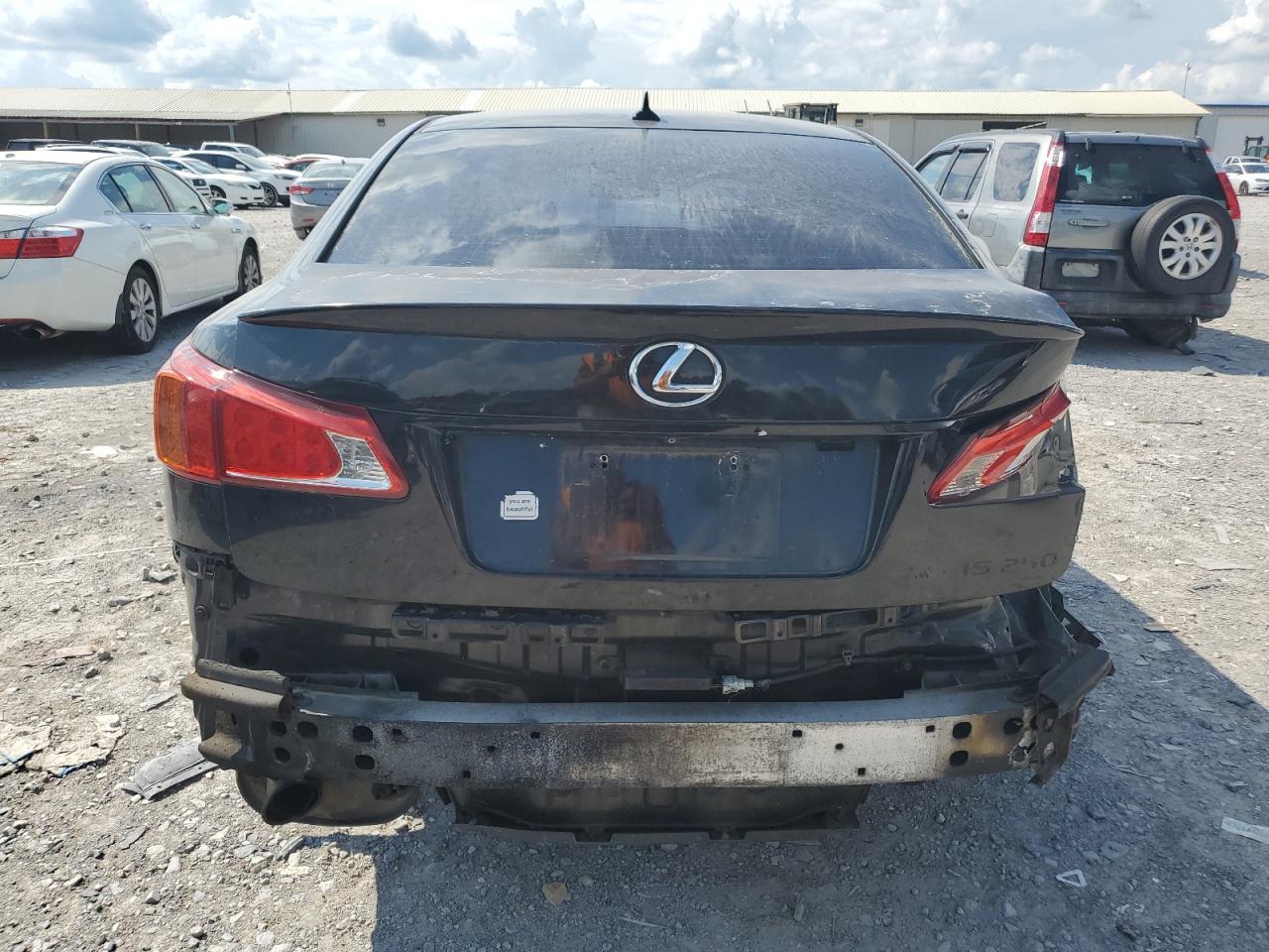 2009 Lexus Is 250 VIN: JTHCK262695030243 Lot: 68031775