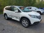 2013 HONDA CR-V EX   for sale at Copart ON - COOKSTOWN