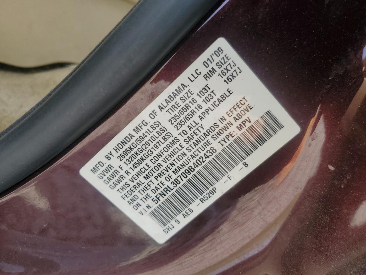 2009 Honda Odyssey Exl VIN: 5FNRL38709B402438 Lot: 67469135