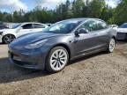 2021 TESLA MODEL 3    à vendre chez Copart ON - COOKSTOWN