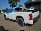 2024 TOYOTA TUNDRA DOUBLE CAB SR   for sale at Copart QC - MONTREAL