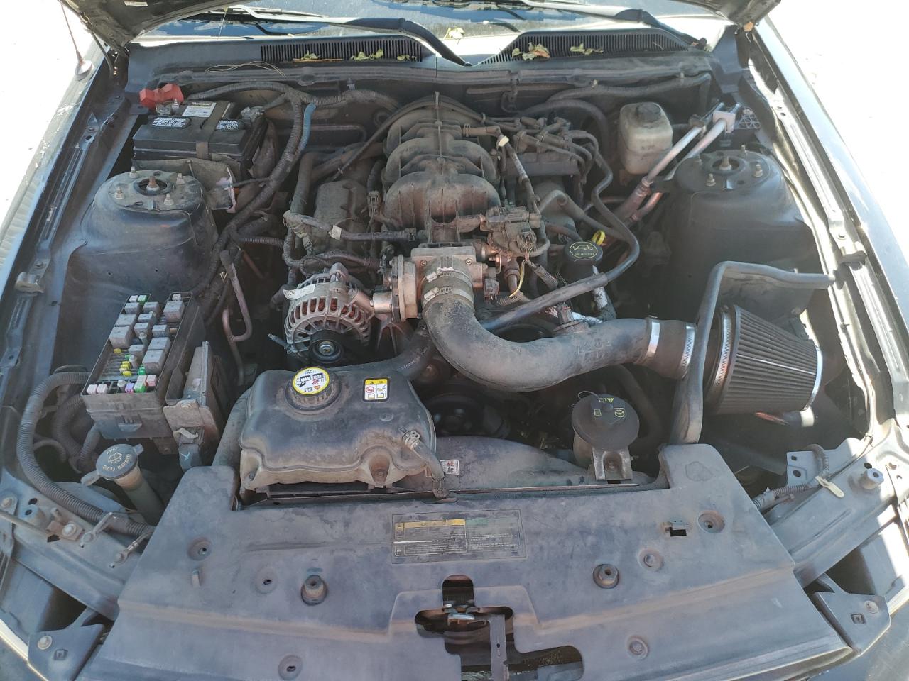 2008 Ford Mustang VIN: 1ZVHT80N485132260 Lot: 70931615