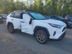 2025 TOYOTA RAV4 XLE   for sale at Copart ON - COOKSTOWN