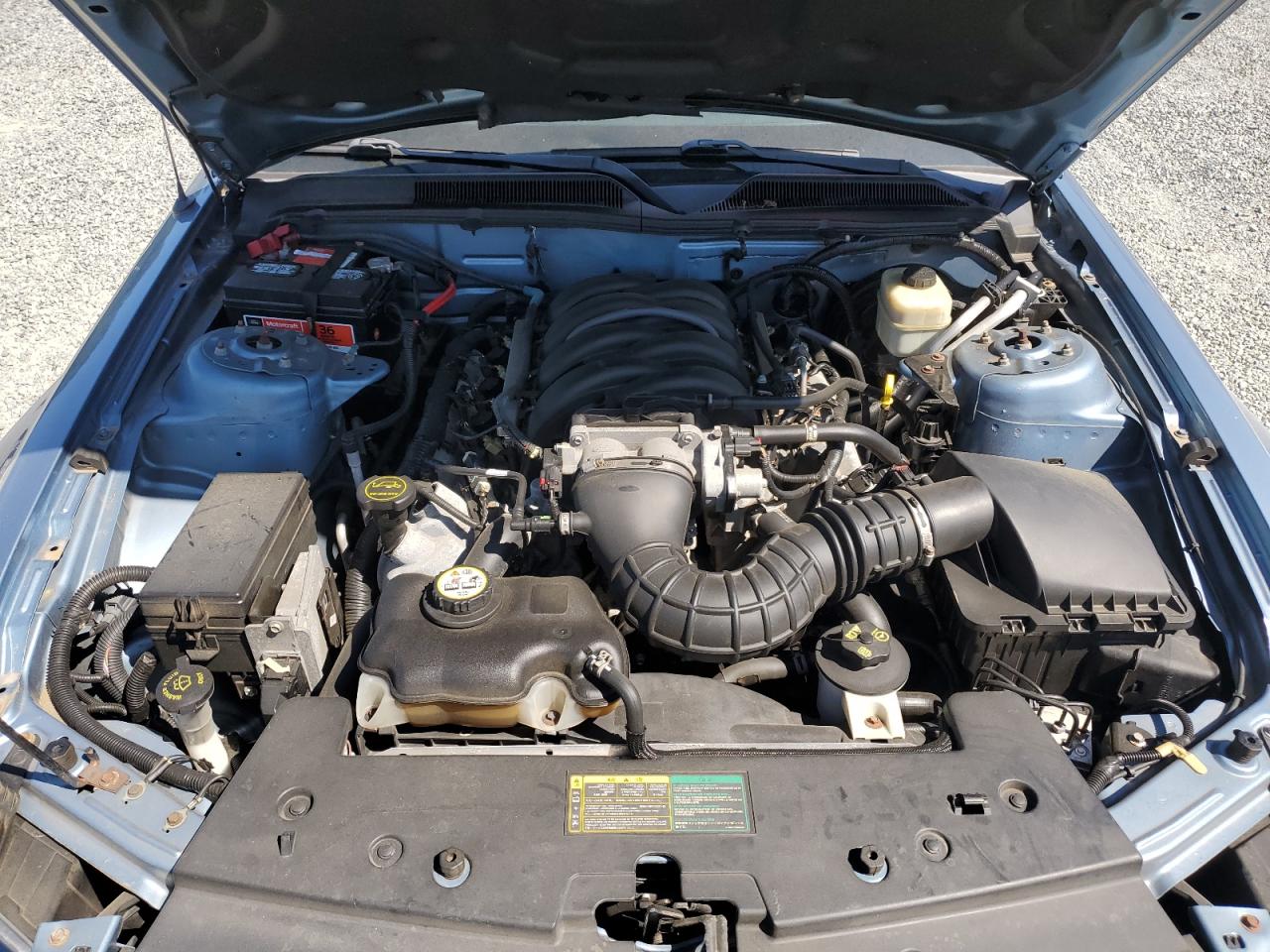 2006 Ford Mustang Gt VIN: 1ZVFT85H565217485 Lot: 70504855