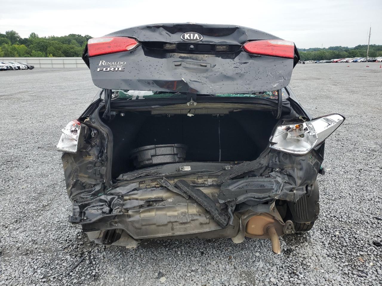 2016 Kia Forte Lx VIN: KNAFX4A60G5589691 Lot: 69925515