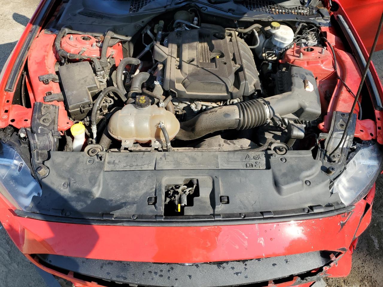 2019 Ford Mustang VIN: 1FA6P8TH1K5117961 Lot: 68891085