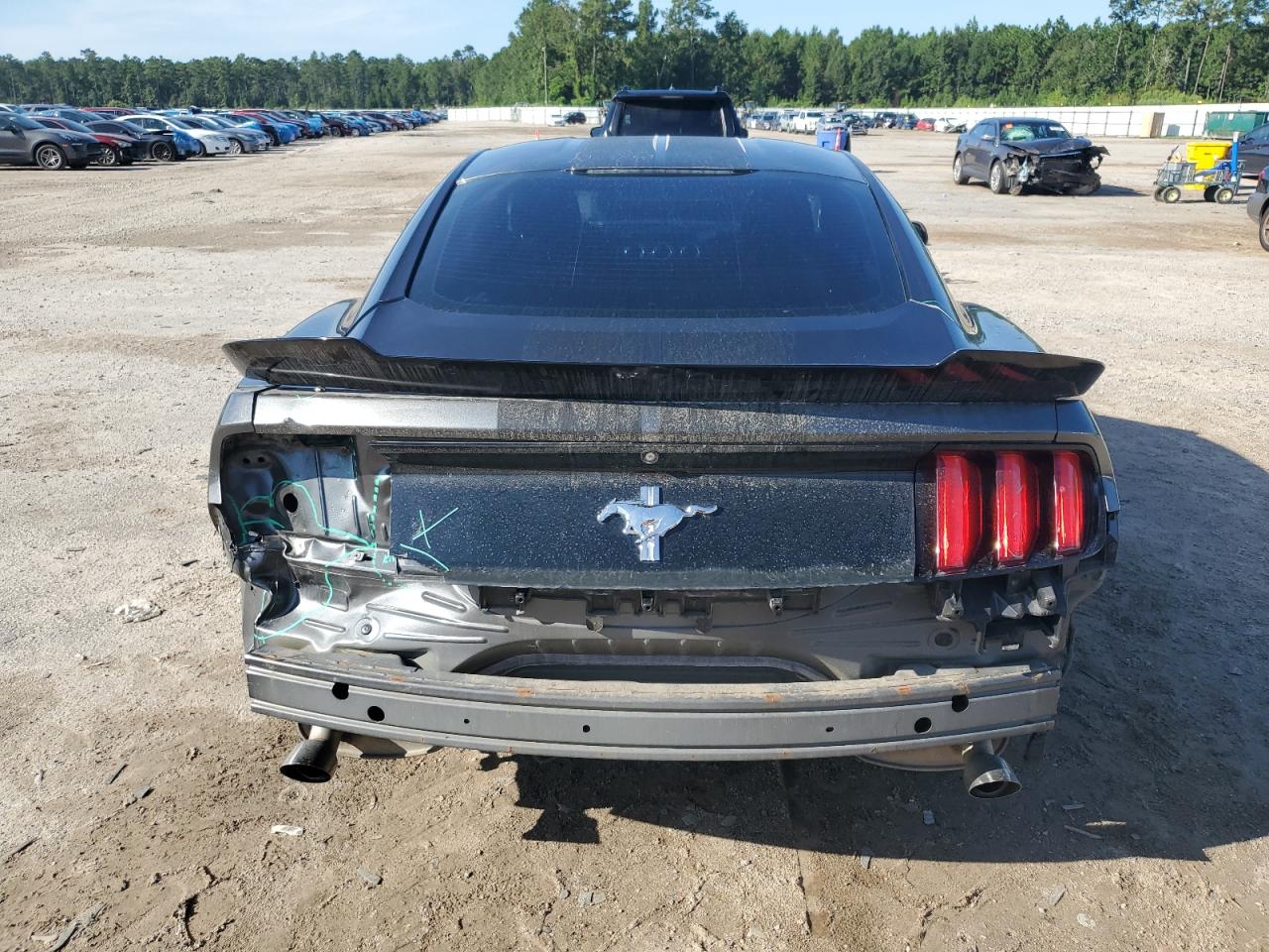 2015 Ford Mustang VIN: 1FA6P8AM8F5304619 Lot: 68827565