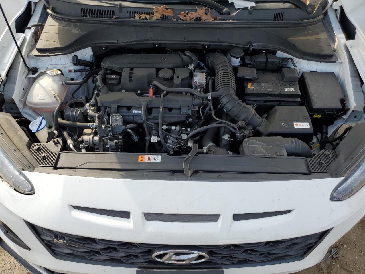2023 Hyundai Kona N Line VIN: KM8K33A39PU008056 Lot: 69642815