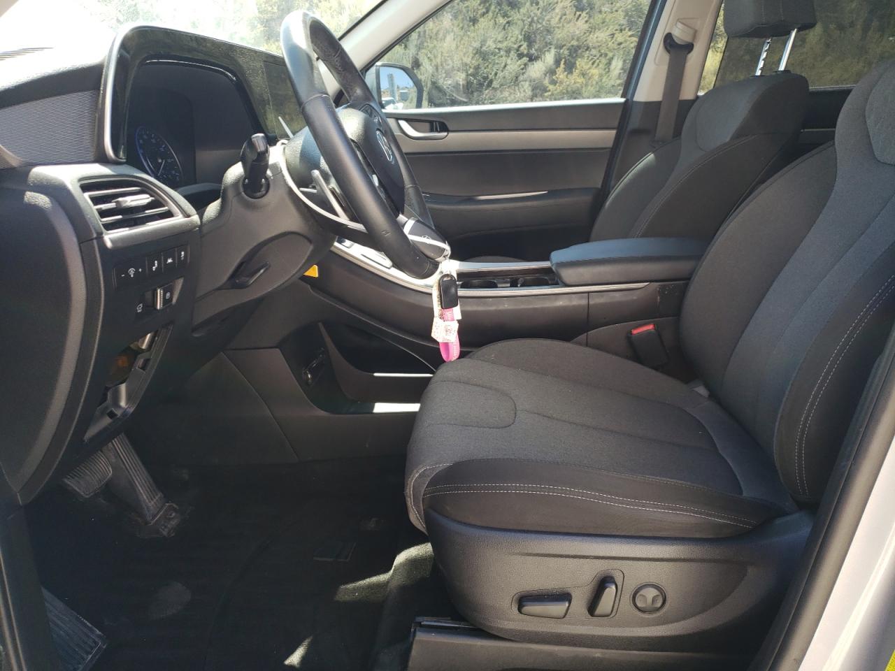 2020 Hyundai Palisade Sel VIN: KM8R3DHE9LU171196 Lot: 67956905