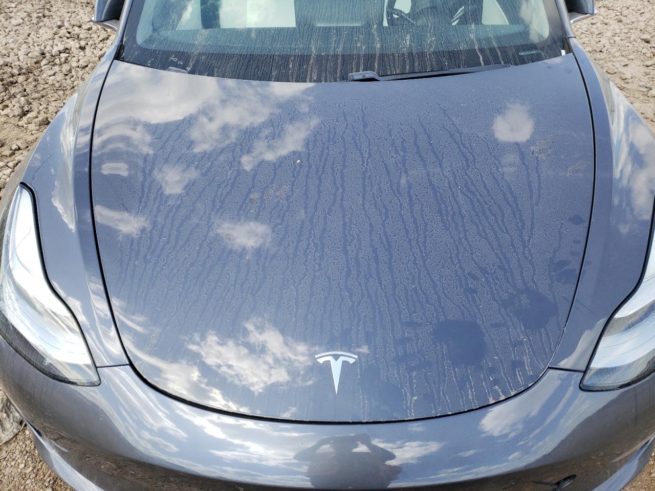 2020 Tesla Model 3 VIN: 5YJ3E1EC1LF736362 Lot: 70033115